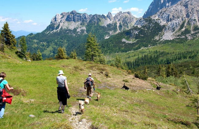 Small Pet-friendly Holiday Park With Nassfeld Card in High Season - Foto 35