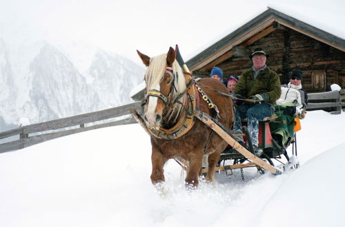 Photo 27 - Small Pet-friendly Holiday Park With Nassfeld Card in High Season