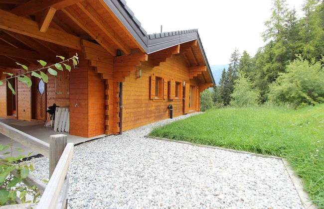 Chalet in Alps Near Ski Lift and Sauna - Foto 28