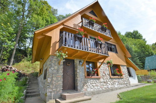 Photo 20 - Luxury Chalet Near Ski Area in Benecko