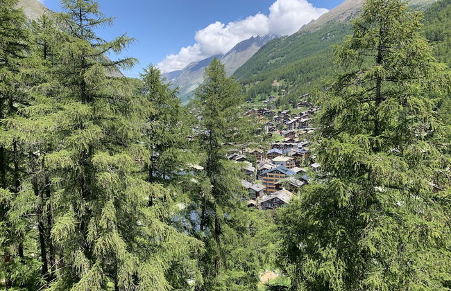 Appartements Zermatt Paradies - Foto 53
