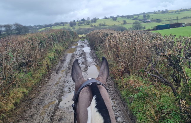 The Old Stables - Photo 17