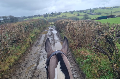 Photo 17 - The Old Stables