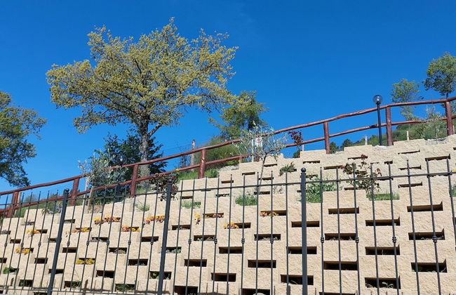 Belvilla by OYO Poggio Marino - Foto 32