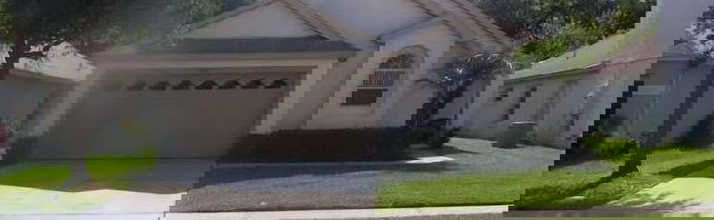 Imagem principal