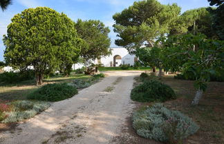 Foto 1 - Masseria Autigne