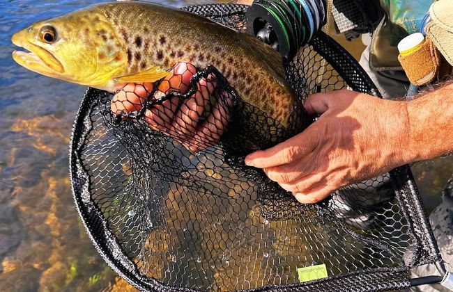 Vumba - Beira Suite - Foto 39