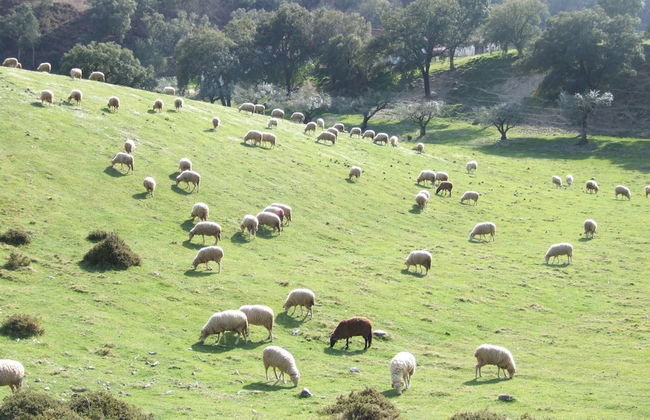 Vumba - Beira Suite - Foto 49