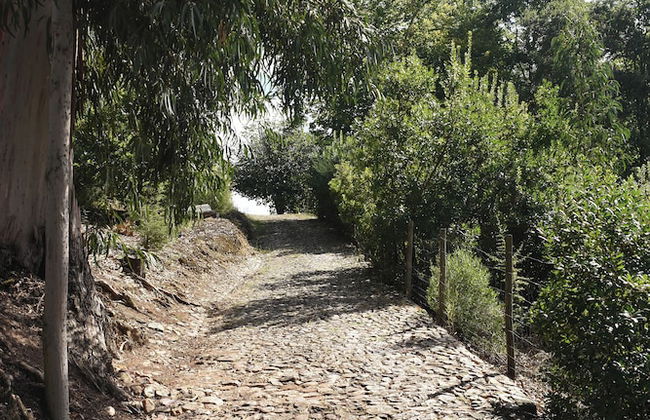 Vumba - Beira Suite - Foto 46