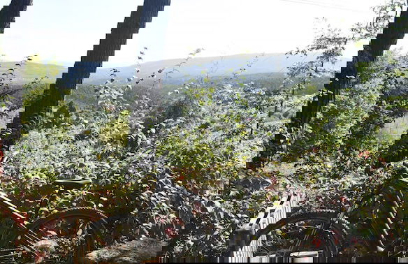 Vumba - Beira Suite - Foto 36