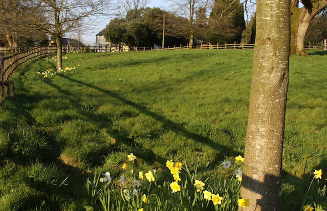 Blessingbourne Country Estate - Foto 70