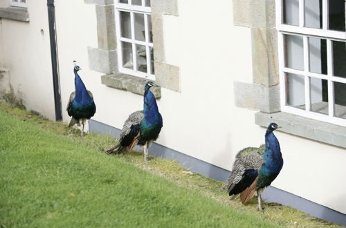 Photo 76 - Blessingbourne Country Estate