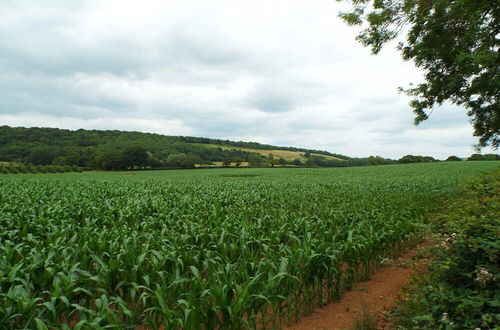 Photo 16 - Relaxing Cottage - Pet Friendly - Countryside Stay