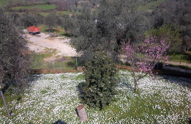 Agriturismo Norianino - Foto 37