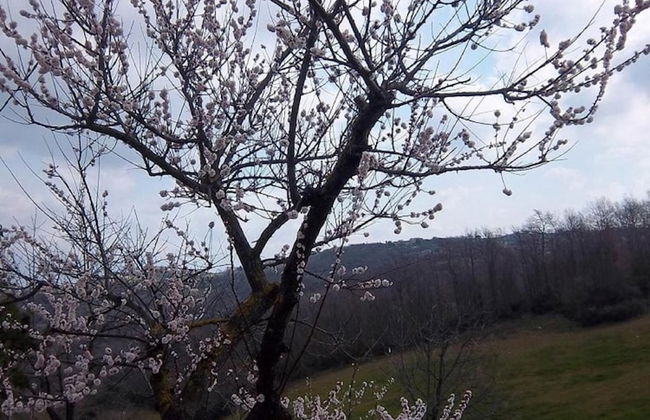Agriturismo Norianino - Foto 30