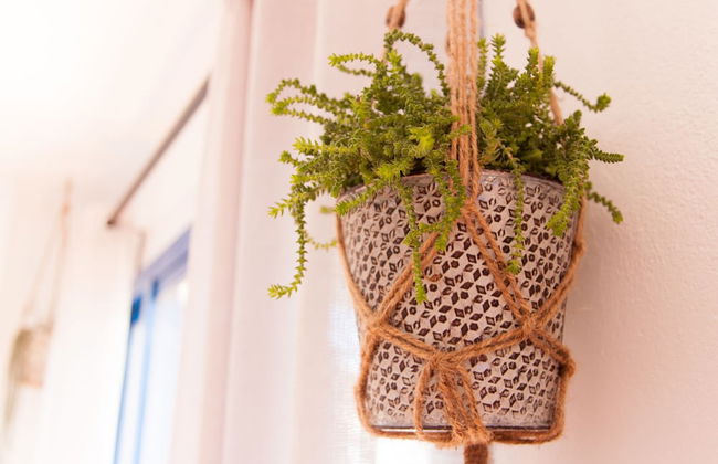 Beach House with garden - Foto 18