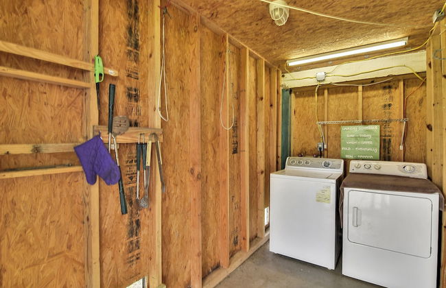 Paradise Found - Foto 2