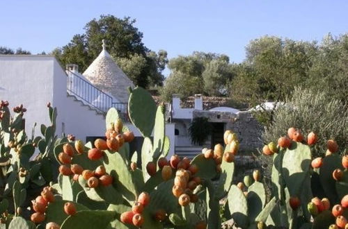 Foto 23 - Trullo di Raffa