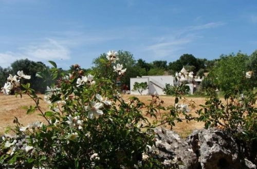 Foto 18 - Trullo di Raffa