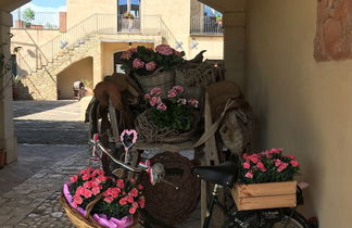 Foto 3 - Casale delle Rose