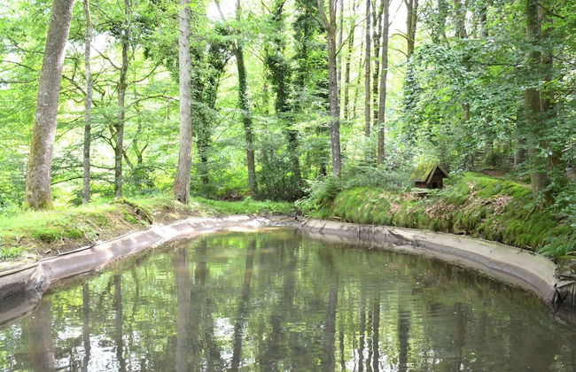 Cottage in the Heart of the Ardennes Woods - Foto 18