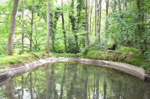 Photo 17 - Cottage in the Heart of the Ardennes Woods