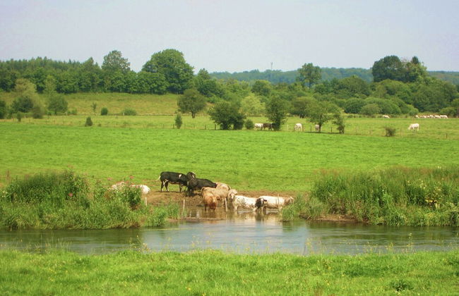Cottage in the Heart of the Ardennes Woods - Foto 37