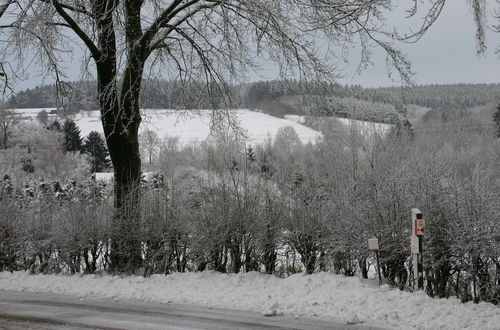 Photo 37 - House in the Belgian Countryside, Ideal Base for Many Fine Excursions