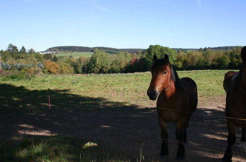 Foto 40 - House in the Belgian Countryside, Ideal Base for Many Fine Excursions