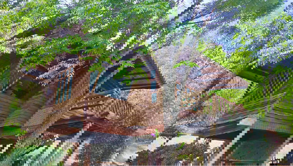 Primary image