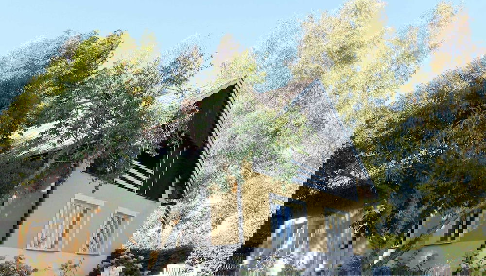 Image principale