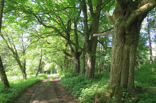 Photo 22 - An Eight-person Holiday Home on a 1600 Hectare