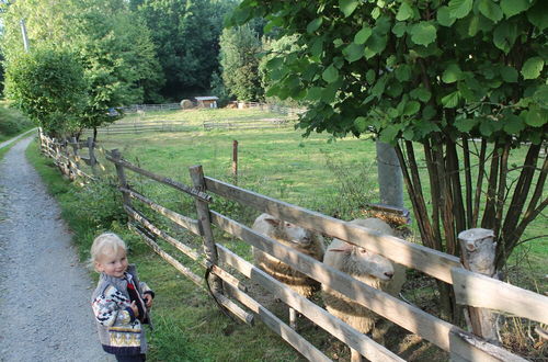 Photo 26 - Former Parsonage in Western Bohemia