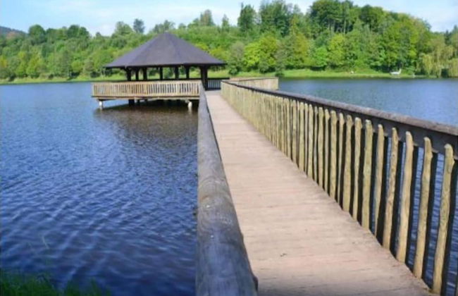 Gite in Ardennes With Sauna and Rural Views - Foto 38