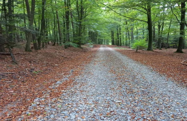 Gite in Ardennes With Sauna and Rural Views - Foto 33