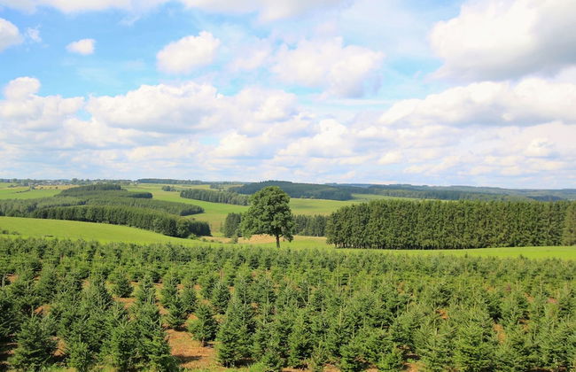 Holiday Home in Neufchateau Forest Views - Foto 19