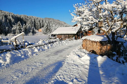 Photo 32 - Inviting Apartment in Auffach Wildschönau near Ski Area