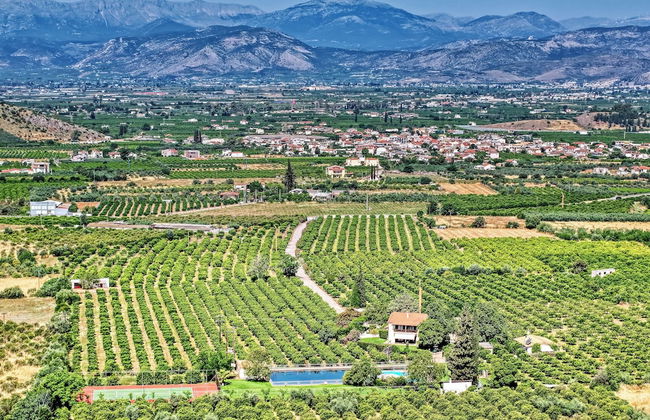 Orange Grove Villa - Photo 64