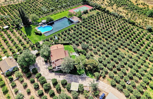 Orange Grove Villa - Photo 62