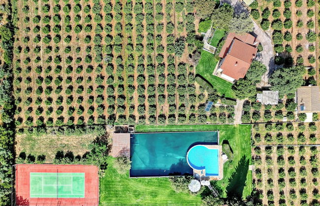 Orange Grove Villa - Photo 61