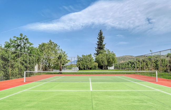 Orange Grove Villa - Photo 42