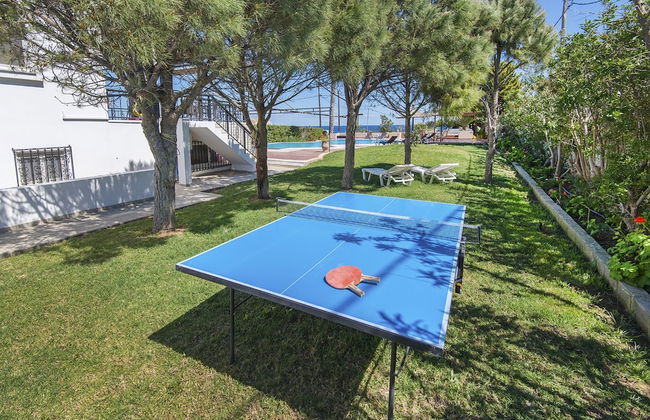 Alkyoni Villa - Photo 22