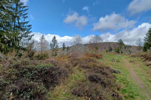 Photo 14 - Cosy Holiday Home in the Upper Palatinate Forest With a Fenced Garden and Seating Corner