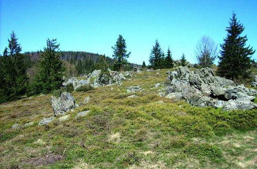 Photo 36 - Cosy Holiday Home in the Upper Palatinate Forest With a Fenced Garden and Seating Corner