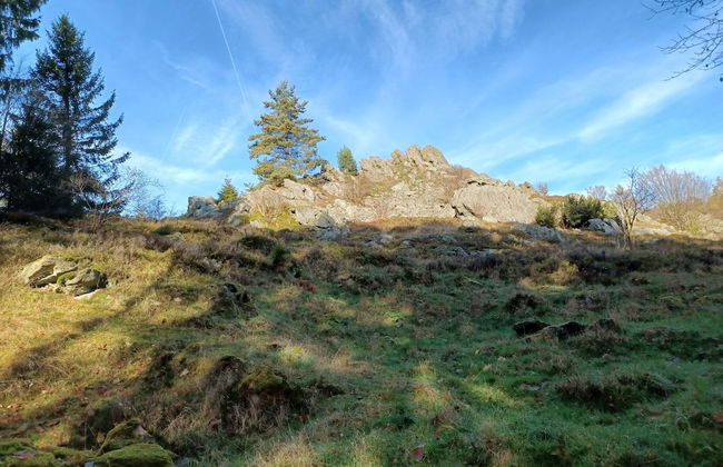 Schones Ferienhaus mit Grossem Garten bei Stadlern - Foto 21