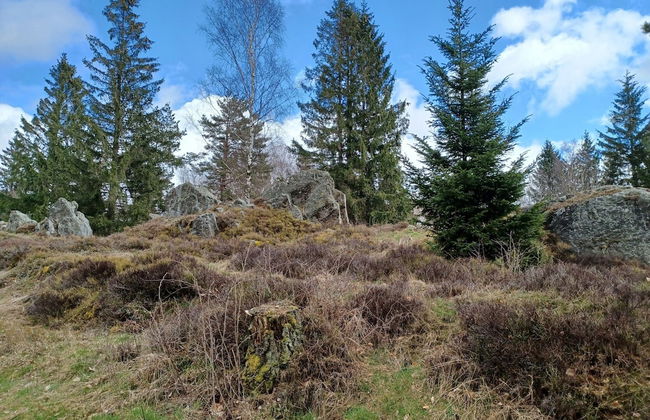 Schones Ferienhaus mit Grossem Garten bei Stadlern - Foto 25