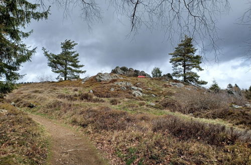 Photo 25 - Cosy Holiday Home Palatinate Forest