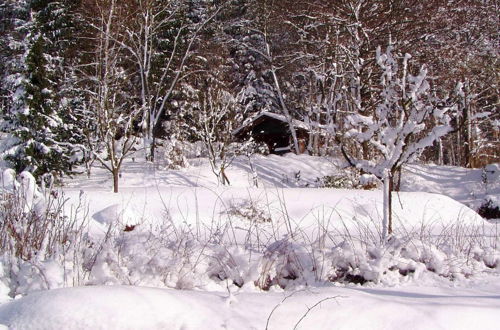 Photo 28 - Cosy Holiday Home in Kollnburg With Garden