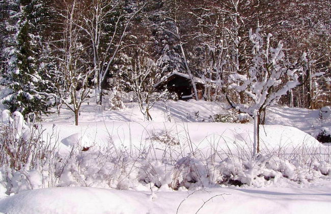 Chalet in Kollnburg Near St. Englmar Ski Area - Foto 29