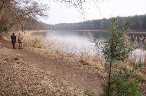 Foto 24 - Spacious Holiday Home in Sommerfeld near Lake